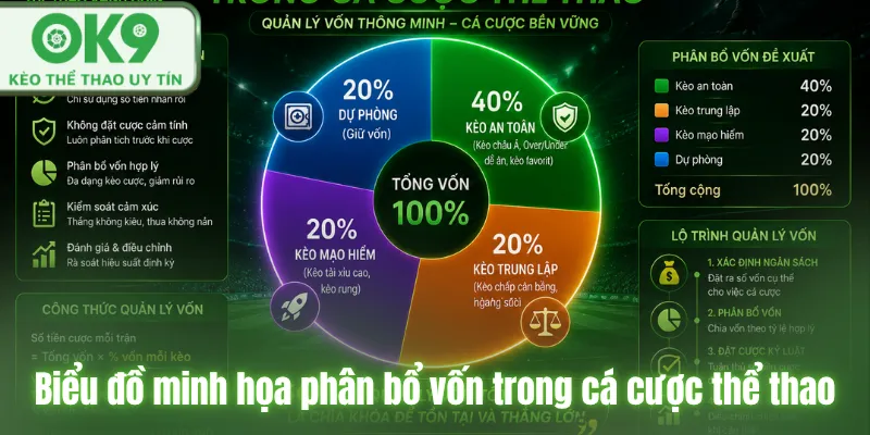 Quản lý vốn cá cược hiệu quả từ chuyên gia OK9 Biểu đồ minh họa phân bổ vốn trong cá cược thể thao