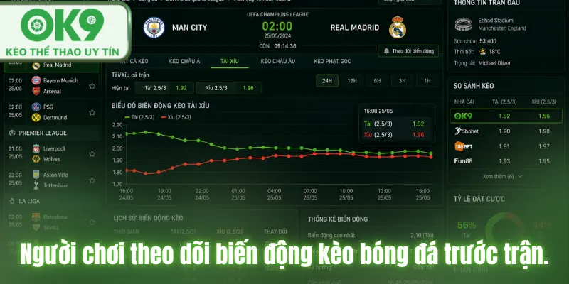 Kinh Nghiệm Soi Kèo Chuẩn Xác Từ Cao Thủ Cá Cược Tại OK9 Người chơi theo dõi biến động kèo bóng đá trước trận.